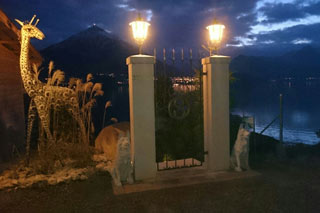 Schmiedeisentor
